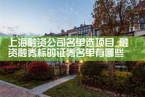 上海融资公司名单选项目
