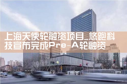 上海天使轮融资项目