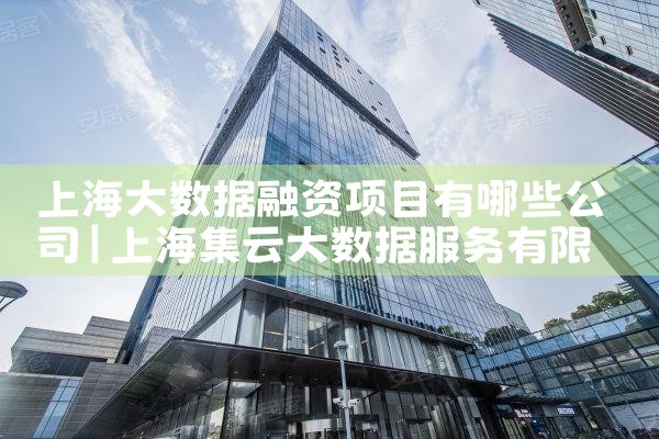 上海大数据融资项目有哪些公司