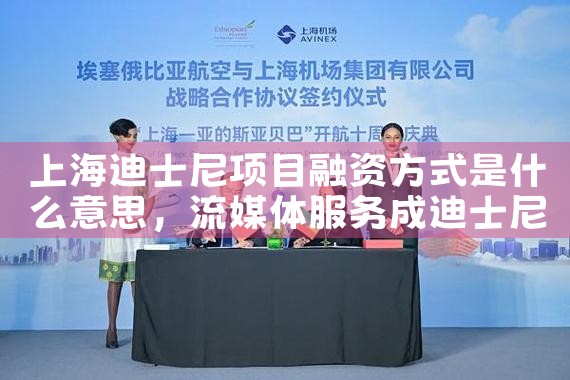 上海迪士尼项目融资方式是什么意思