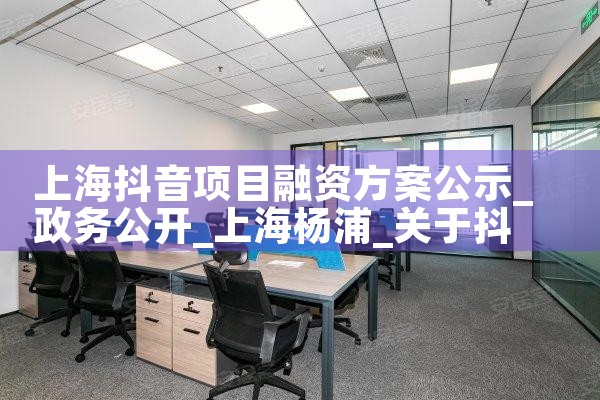 上海抖音项目融资方案公示