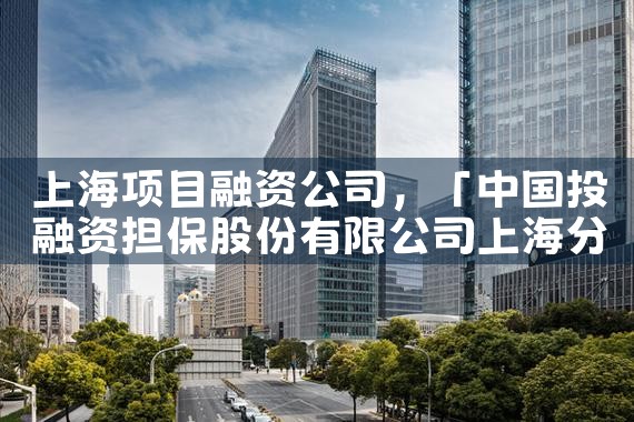 上海项目融资公司