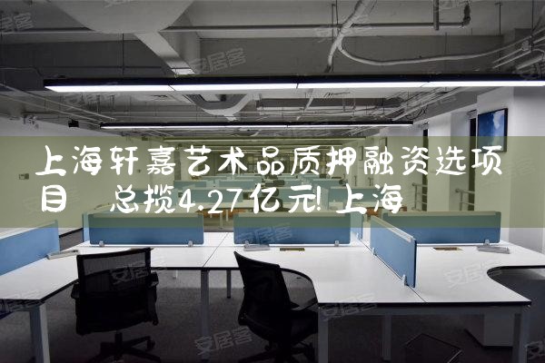 上海轩嘉艺术品质押融资选项目