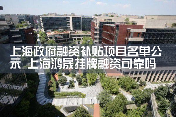 上海融资项目申请报告服务平台官网官方
