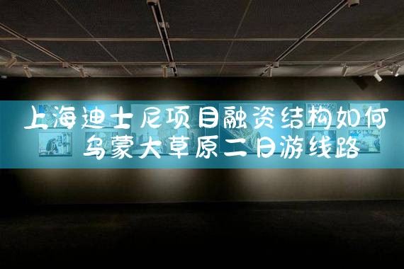 上海迪士尼项目融资结构如何