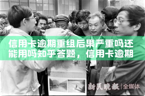 上海迪士尼项目融资分析