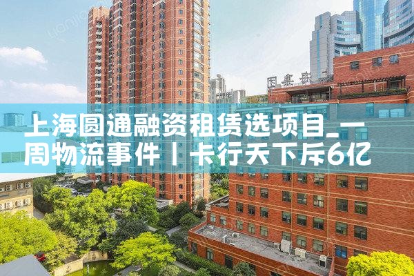 上海项目融资贸易企业