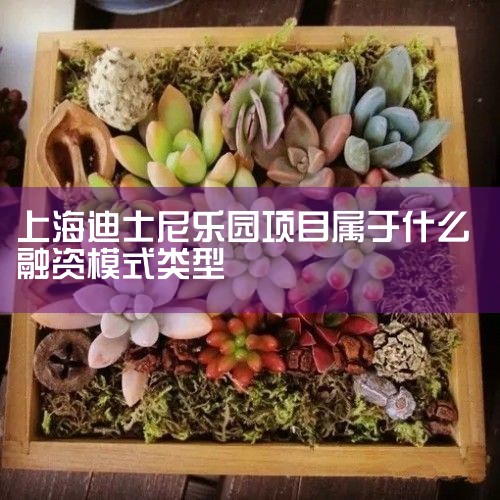 2˹:˹԰ƻ仧Ϻֶɳ,õչӿٶ,ؼ۸,˾ӵиõĶԴ,зز,ʲֵ 3չҵ:˾йĳ淢ҵֿչ,
