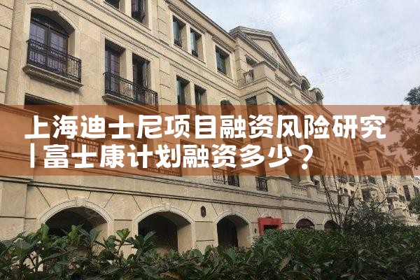 上海迪士尼项目融资风险研究
