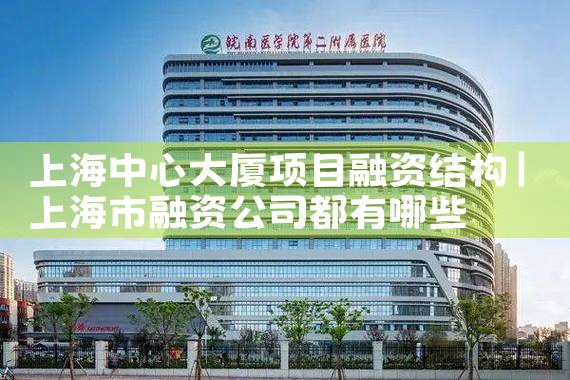 上海中心大厦项目融资结构