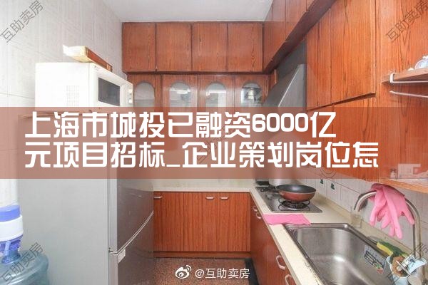 上海市城投已融资6000亿元项目招标