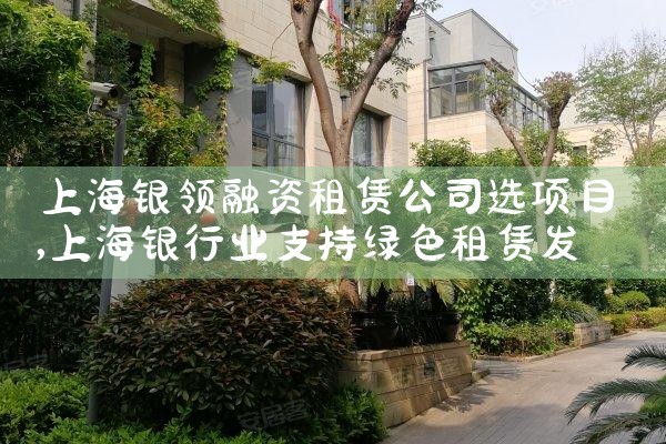 上海网络借款债务重组案件调查