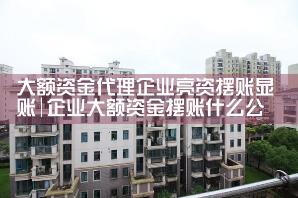 大额资金代理企业亮资摆账显账