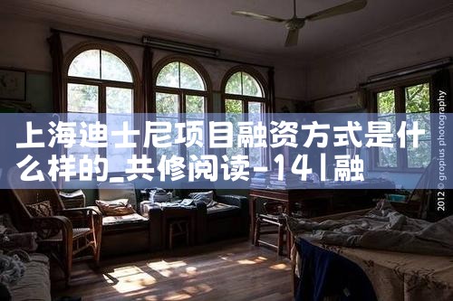 上海迪士尼项目融资方式是什么样的