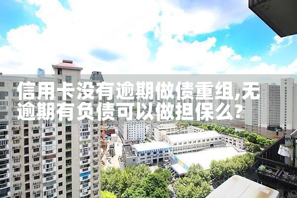 ���ÿ�û��������ծ����