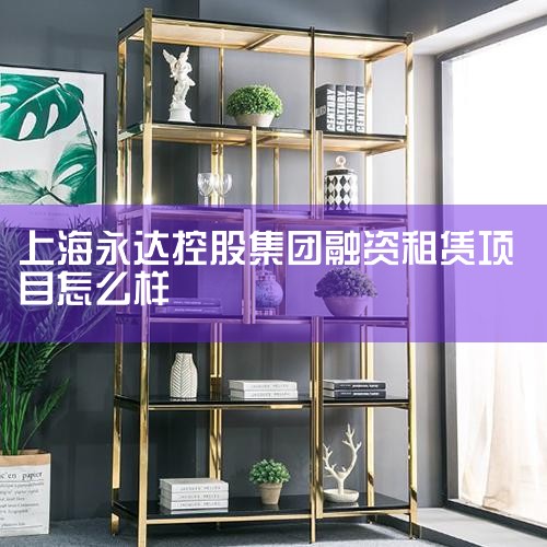 永达金融好过吗,永达租赁贷款是不是正规