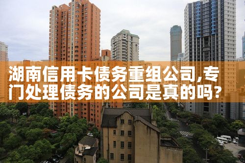 上海迪士尼项目融资方式是什么