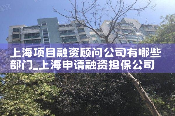上海项目融资十大排行榜公司
