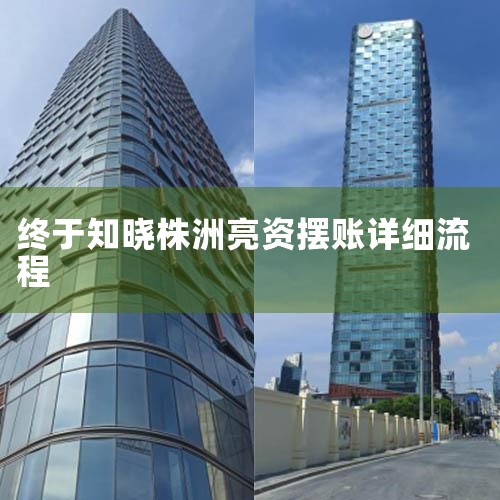 2023年地方政府专项债发债全过程及政策新变化,政府项目融资流程|上海自贸区有什么优惠政策_上海:促进消费市场潜力释放 合理支持刚性和改善性住房需求