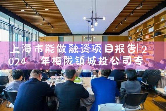 上海市能做融资项目报告