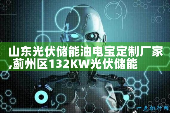 山东光伏储能油电宝定制厂家|艾微特