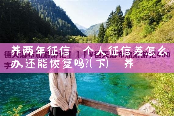 征集养老服务项目信息怎么写范文|养征信|债务重组