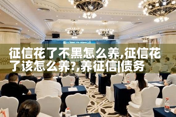 征信花了不黑怎么养|养征信|债务重组