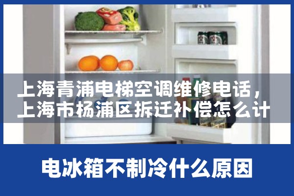 Ϻֵݿյά޵绰|ͬŷ
