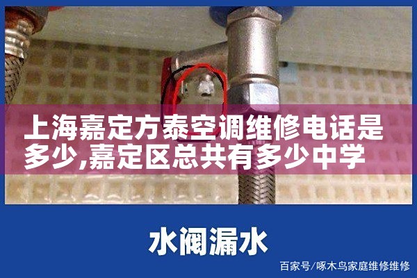 Ϻζ̩յά޵绰Ƕ|ͬŷ
