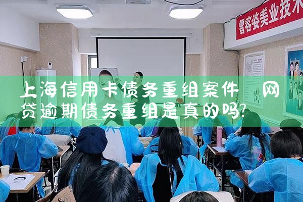 �Ϻ����ÿ�ծ�����鰸��