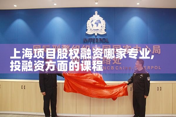 �Ϻ���Ŀ��Ȩ�����ļ�רҵ